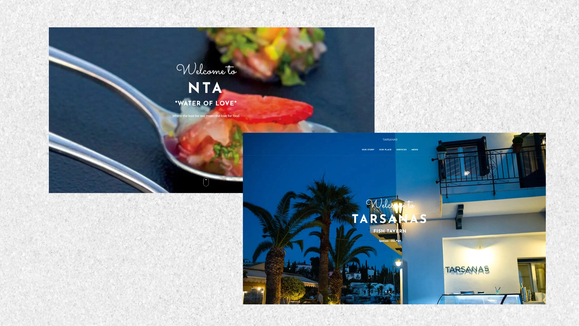 Tarsanas NTA corporate website